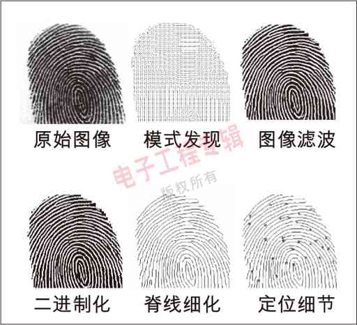 圖4：指紋處理的次序。