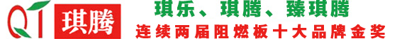 賽靈思