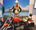 չ�K���K���K��ShowGirl