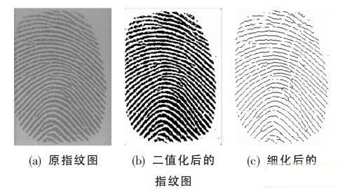 細(xì)化指紋