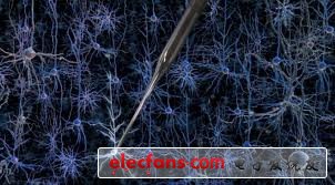 MIT和佐治亞理工學院發(fā)明了一種機械探針（中間）。它被用來創(chuàng)建大腦器官列表和接線圖，以供芯片生產(chǎn)商模擬