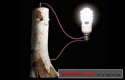 木制電池 —— 未來技術(shù)的方向？