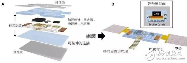 表皮電子再顯神威 可穿戴設備出現(xiàn)新轉(zhuǎn)機