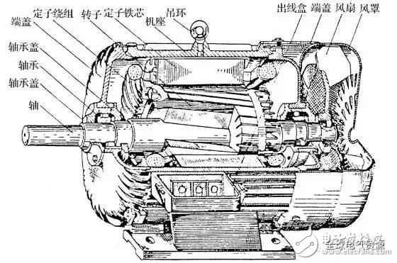 異步電動(dòng)機(jī)的工作原理與結(jié)構(gòu)