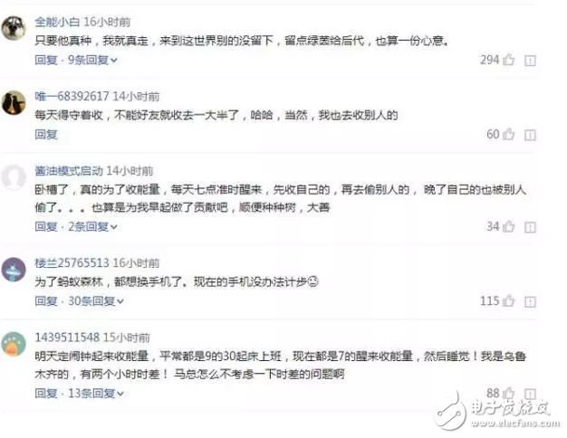 你種的樹成功了嗎？當初支付寶搶能量種的樹，如今長成這樣
