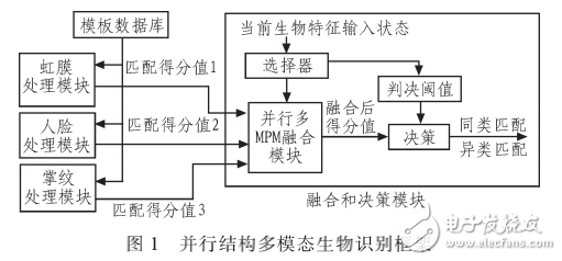 基于自適應(yīng)并行結(jié)構(gòu)的多模態(tài)生物特征識(shí)別