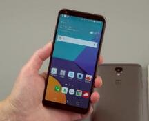 lgG6