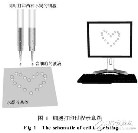 細胞打印技術(shù)及應(yīng)用