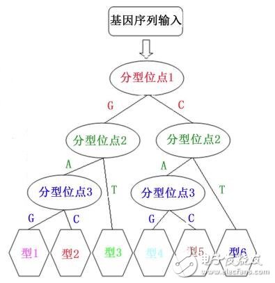MATLAB編譯生成AUTOLISP代碼實現(xiàn)可變ID3基因分型決策樹分類圖的繪制
