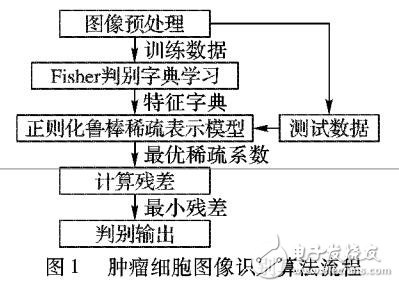 基于正則化魯棒稀疏表示腫瘤細(xì)胞圖像識別