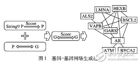 人類互作網(wǎng)絡(luò)拓?fù)淠K分析