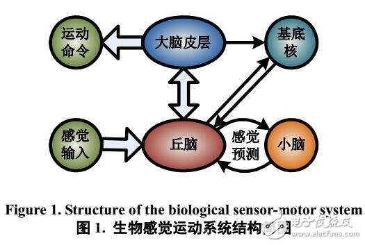 基于BP神經網(wǎng)絡的機器人感覺運動系統(tǒng)