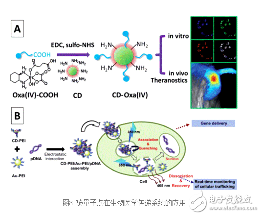 碳量子點的主要應(yīng)用