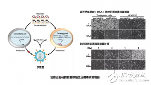 2017年度中國(guó)科學(xué)十大進(jìn)展解讀