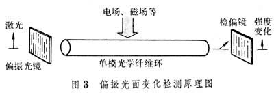  偏振光面變化檢測(cè)原理圖