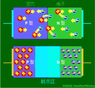 在PN結(jié)(junction)內(nèi)，N型材料中的自由電子填充了P型材料中的空穴。這樣，在二極管的中間就產(chǎn)生了一個絕緣層，稱為耗盡區(qū)。